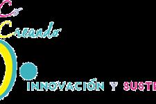Mentora de proyectos en sitio