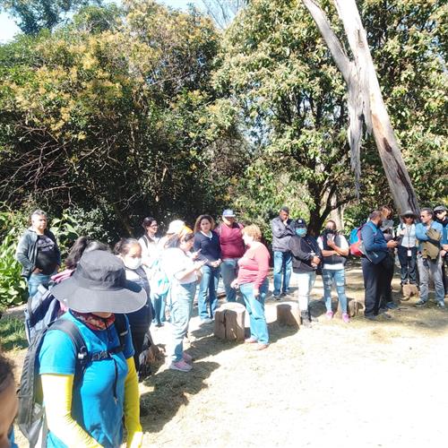 Voluntariado en derecho