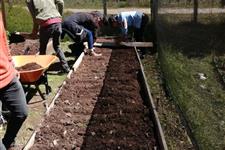 Tutor de proyectos agrónomos