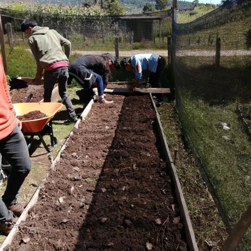 Tutor de proyectos agrónomos