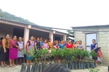 Procuración de fondos