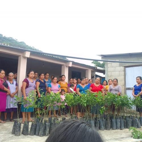 Procuración de fondos