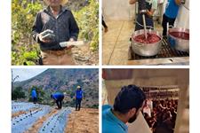 Voluntario/a de emprendimientos en la montaña de guerrero