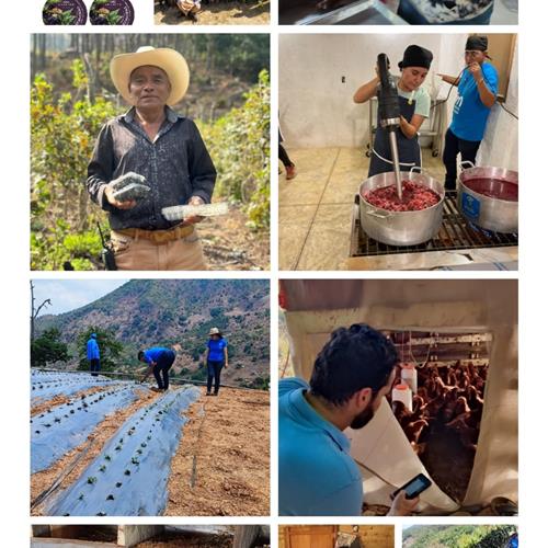 Voluntario/a de emprendimientos en la montaña de guerrero
