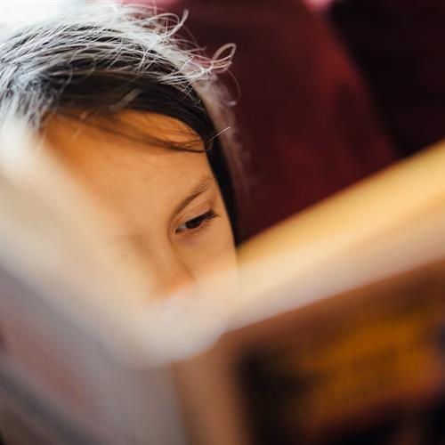 Coordinación programa de lectura en voz alta en escuela