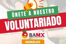 Voluntariado de capacitación
