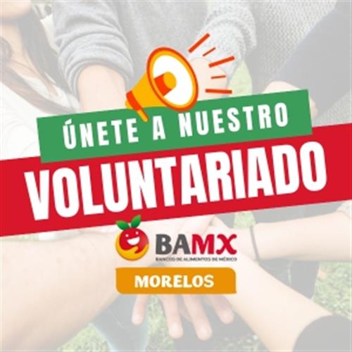 Voluntariado de capacitación