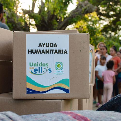 Voluntarios con conocimientos de diseño gráfico, comunicación, marketing o carreras afines