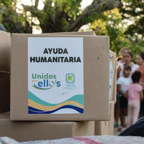 Preparación de kits de despensa para emergencias 2026