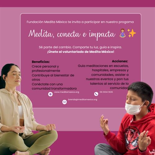 ¡Medita, conecta e impacta!