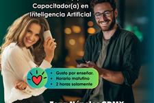 Capacitadores o instructores presenciales