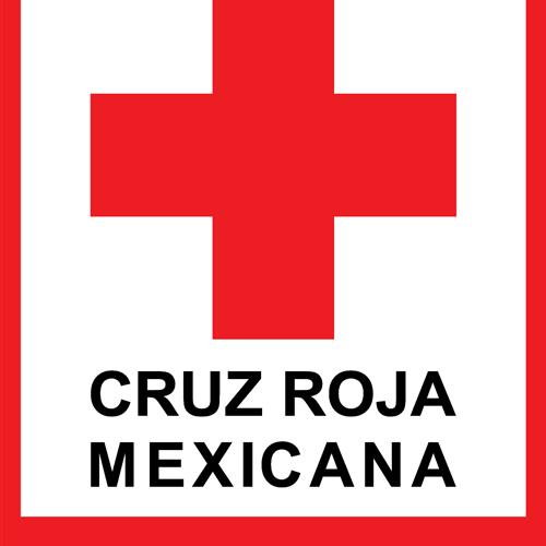 Voluntarios en silla de ruedas y muletas para funciones de radio operador