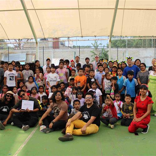 Voluntario canica