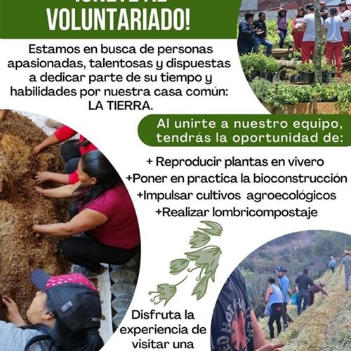 Voluntariado ecológico y comunitario en dehe mahetsi