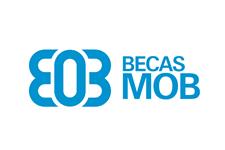 Psicologo clínico para realizar entrevistas educativas 